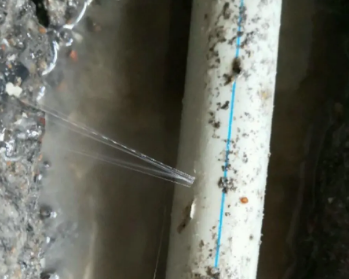 长丰卫生间测漏水多少钱